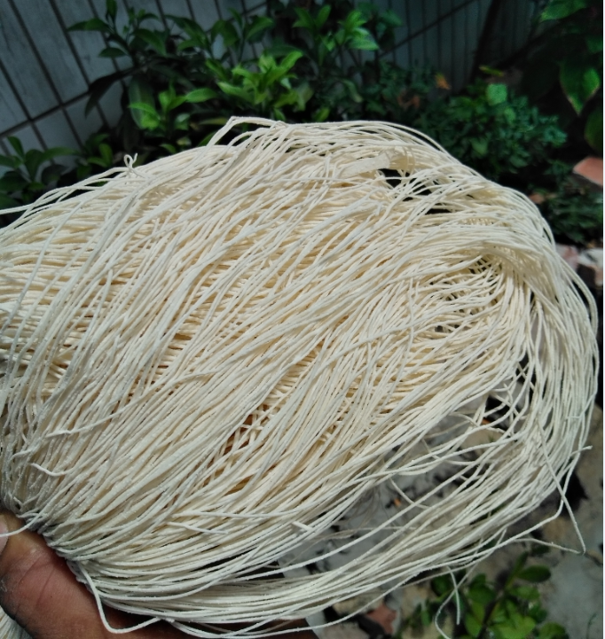 Wenzhou Ryanwan Society Vegetarian Noodle Pasta Artisanal Longevity Lunar surface 500 gr Jiang Zhejiang and Anhui 10 Jin