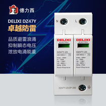 Delixi power safety protection lightning arrester Surge protector DZ47Y2P 20 40 80KA