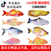 Shake sound childrens toys For boys and girls net red simulation electric fish Simulation fish beating fish Tease cat pet toys