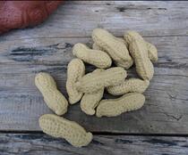 Lixing Purple Sand Sculpture Pendulum Piece Tea Spotting Tea Play Tea Tray Ornament Five Valley Peanuts Buy 2 Grain for 1 grain 9 RMB98