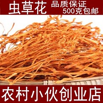 Cordyceps Flower Chrysalis Cordyceps Golden Cordyceps Northern Cordyceps Spore Head Dry soup 500g