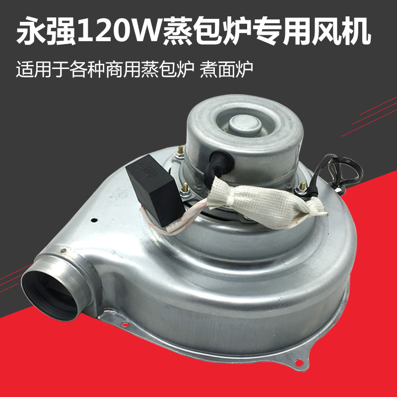 Yongqiang 120W steam furnace special fan jiuding dynamic steam stove boiler 120W fan motor