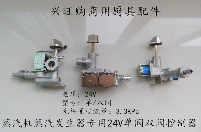 Steam generator of steam generator Yaolong ZD252A24V Single solenoid valve TJ22-35 Import Double 24V solenoid valve