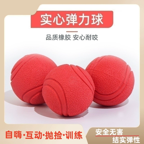 Игрушка для собак, укусить мяч, золотисто -ретривер, собачья мяч, питомец