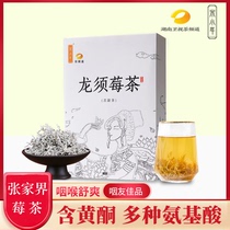 Berry tea grade Wild Zhangjiajie Tujia Dragon beard bud tip mold Tea Tianmen County Vine Tea gift Box Yongshun Berry Tea