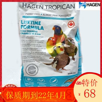 HAGEN Hagen Hali HARI Daily Natural Synthetic Grain Mini Grain (2MM) Small and Medium Parrot 1 8 lb