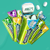 Green Arrow No Sugar Mint Sugar ~ 35 grains * 8 Bottles of Iron Box Fresh Breath Convenient Candy Multi-flavor Snacks