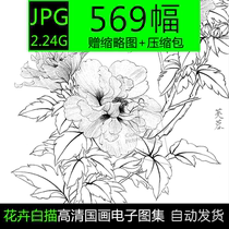 Work Stroke Flowers Flowers Birds White Sketch Manuscript Country Painting High Definition Photo Electronic Material Line Sketch Exercise Manuscript