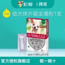 E pet Bayer pampering dog in vitro anthelmintics 4kg inner drops teddy teacup puppy to flea single 1