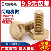 (M10 M12) copper hexagon Bolt copper outer hexagon head screw copper outer hexagon fastener copper screw