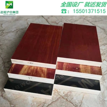 Factory direct sales 3 6 feet phenolic gum poplar building template plywood site with woodworking board waterproof shell
