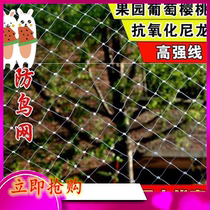 Protective net net Green plant anti-bird net Farmland special net Fruit garden farm fish pond anti-hail net Cherry net agriculture