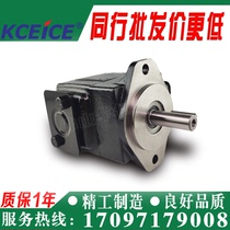 T6C-003-006-008-010-014-017-020-022-028-031- 1R00-B1-A1 Vane pump