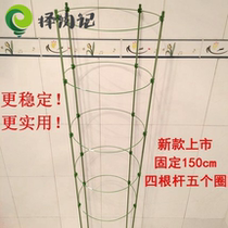 Potted fixed vine climbing vine shelf flower pot holder climbing plant grape Kiwi flower shelf fruit tree climbing