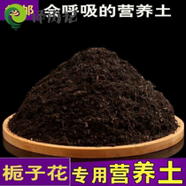 Gardenia special nutrient soil packaging nutrient solution Jin weak acid soil general nutrient soil Gardenia fertilizer