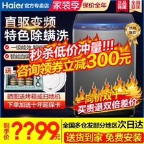 Haier automatic pulsator washing machine household large capacity 8 9 10kg official flagship XQB100-BZ206