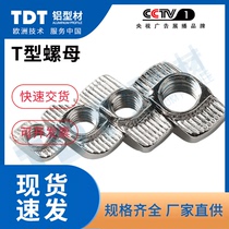 TDT Industrial aluminium profile nickel plated T nut boat type nut national standard M3M4M5M6M8 Eurosign 20m4T type snail