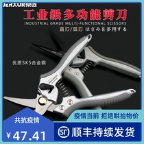 Beijing elective branch scissors garden scissors horticulture rough cutting fruit tree branch scissors flower Greening scissors electrical scissors tools