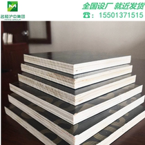 High quality building formwork black coated water-resistant poplar core 3648 feet full core poured concrete slab