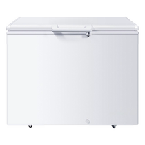 Pulsa horizontal freezer for the water in the