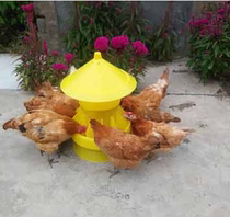 Feeder small chicken supplies Chicken Eating trough Automatic chicken stock Chicken Duck Goose Trough feeding Feed Barrel Breeding