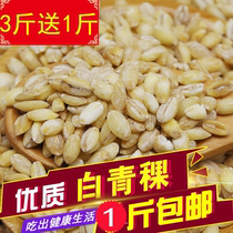 Peeled barley benevolent cooking middle-aged and elderly Food white barley rice Qinghai-Tibet Plateau coarse grain 500g