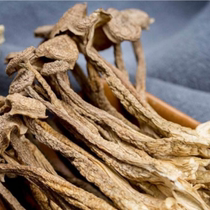Wuyi Mountain Water Zhengzong Antler Mushrooms Dry Wuyi Mountain Special Produce Mountain Treasures Antler dried mushrooms 250g
