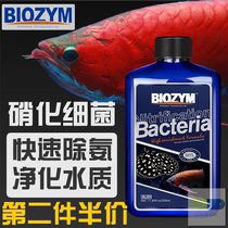 Bainimei nitrifying bacteria Water purification live bacteria Aquarium tropical fish digestive bacteria Arowana stingray highly concentrated liquid