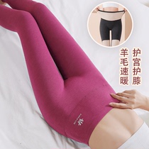 New Autumn Pants Woman Spring Autumn Wool Silk Warm Kneecap High Waist Lining Pants Beauty Body Tight Fit Winter Wear Cotton Underpants