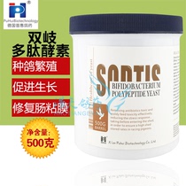 German Pratt & Whitney Pigeon Drug Bifid Peptide Enzyme Yeast Powder Live Bacteriophage Health 500g