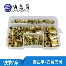 Iron color zinc rivet nut set color zinc flat head pull rivet nut knurled pull mother color zinc plastic box set