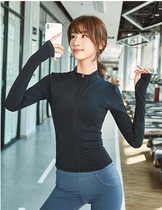 Stand-up collar thin sports jacket womens fitness clothes tight jacket Yoga running top high elastic long sleeve autumn and winter
