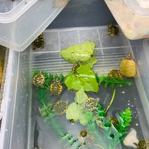 Lets choose a boutique flame