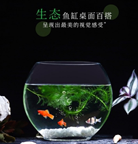 Flat Fish Glass Vase Fish Tank Transparent Big Creative Hydroponic Green flower Flower Pot small aquarium gold fish tank utensil