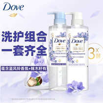 Doffin Feng & Barber Shampoo Dew Fragmentary Fragmentation Persistent TompointOfficial Brand Men and Women