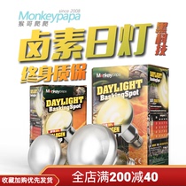 Reptile heating UVA halogen day lamp heating lamp climbing pet tortoise tortoise lizard snake heat preservation lamp high heat effect sun back lamp