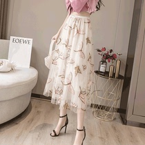Korea Heavy Industries sequin embroidered skirt women 2021 new spring and summer mesh dress long fairy skirt