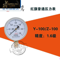 Y-100 pressure gauge Y100mm0-0 06 1 0 25 1 6 4 6 10 16 25 60MPA