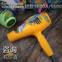 Felix Fires Fenix 5600A ultra silent blow roll styling ultra-light electric hair dryer 5600