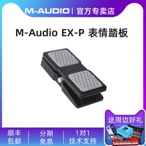 Maudio EX - P professional playing stage expression pedal