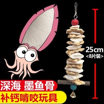 Xuanfeng Cuttlefish bone Parrot calcium Peony tiger skin Bird supplies Bird food feed snacks Molar gnawing toys