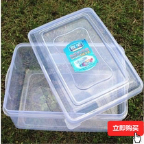 Cake flip oversized sealed bowl large Japanese box crisper for takeaway takeaway dumplings