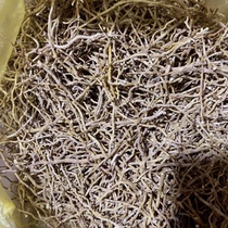 The dendrobium dendrobium is a catty