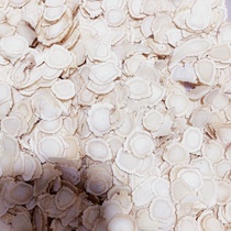 Changbai Mountain American Ginseng Slices 1 2 Specifications 50g 29 9