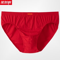 2 Dress Large Code Red Briefs Male Triangle Pants Loose Pure Cotton Ben Year Large Red All-cotton Faggot Triangle Briefs