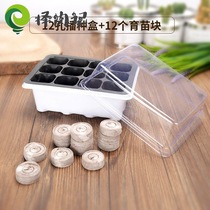 Reproduction block compressed seedling nutrition block seedling artifact cutting seedling special pot multi-meat leaf insert Basin three