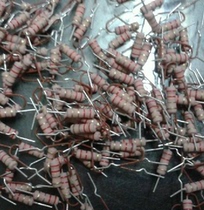 Resistor series 1W2 2R New spot 2 2 OHM 1W Quality assurance