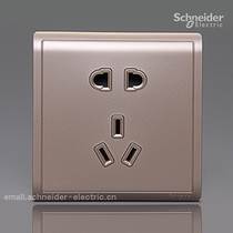 Schneider Fengshang Switch Socket Intoxicated Golden Fengshang Five Hole E82426_10US_WG Champagne Gold