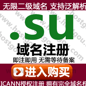 su domain name registration supports pan-resolution unlimited second-level domain meter purchase application for former Soviet Union countries