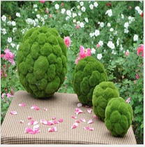 Planting hair ball simulation grass ball simulation flower simulation Moss planting hair grass ball simulation grass ball simulation flower ball simulation Flower Ball